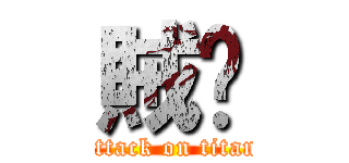 賊鷗 (attack on titan)