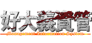 好大義資管 (Management Information System)