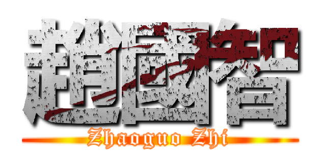 趙國智 (Zhaoguo Zhi)