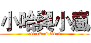 小哈與小嵐 (attack on titan)