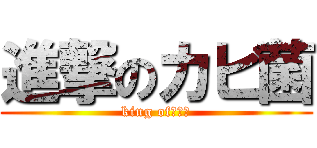 進撃のカビ菌 (king of　きん)