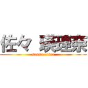 佐々 瑛理奈 (sassa erina)