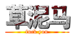草泥马 (fuck you)