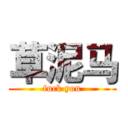 草泥马 (fuck you)