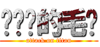继续击的毛凯 (attack on titan)