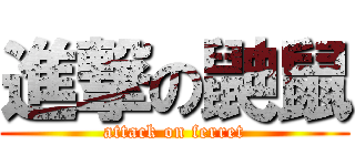 進撃の鼬鼠 (attack on ferret)