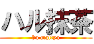 ハル抹茶 (hu mattya)