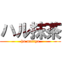 ハル抹茶 (hu mattya)