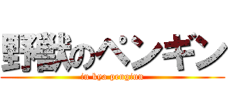 野獣のペンギン (in kya penginn)