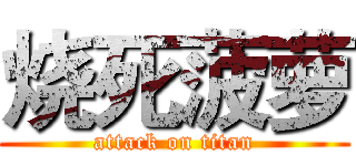 烧死菠萝 (attack on titan)