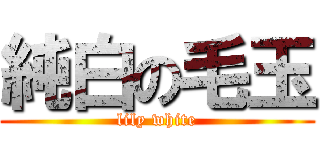 純白の毛玉 (lily white)