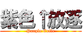 紫色↑放逐 (Purple Exile)