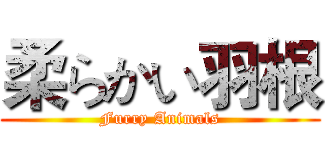 柔らかい羽根 (Furry Animals)