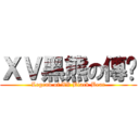 ＸＶ黑熊の傳說 (Legend of XV Black Bear)