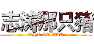 志涛那只猪 (THE ZT PIG)