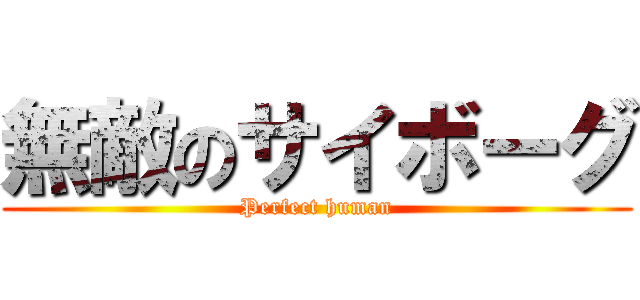 無敵のサイボーグ (Perfect human)