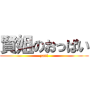 賢姐のおっぱい (zan!)