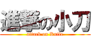 進撃の小刀 (attack on Knife)