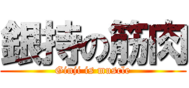 銀持の筋肉 (Ginji is muscle)