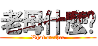 老母什麼啦 (What mother)