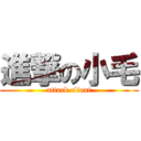 進撃の小毛 (attack client)