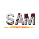 ＳＡＭ (Photomaker)