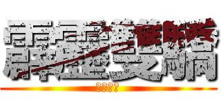 霹靂雙驕 (所向無敵)