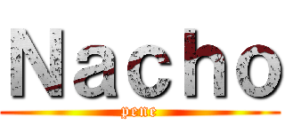 Ｎａｃｈｏ (pene)