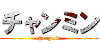 チャンミン (changmin)