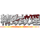 精致纹理 (attack on titan)