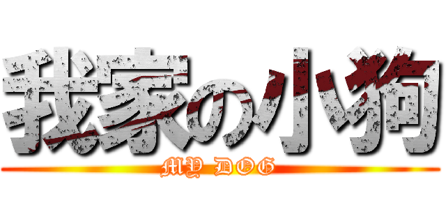 我家の小狗 (MY DOG)