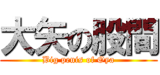 大矢の股間 (Big penis of Oya)