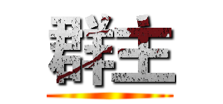 群主 ()