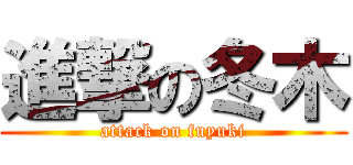 進撃の冬木 (attack on fuyuki)
