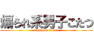 煽られ系男子こたつ (kindle on kotatu)