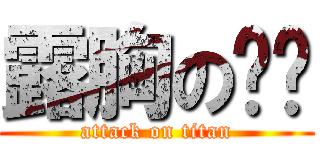 露胸の乔乔 (attack on titan)