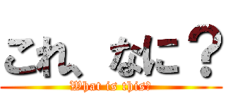 これ、なに？ (What is this?)