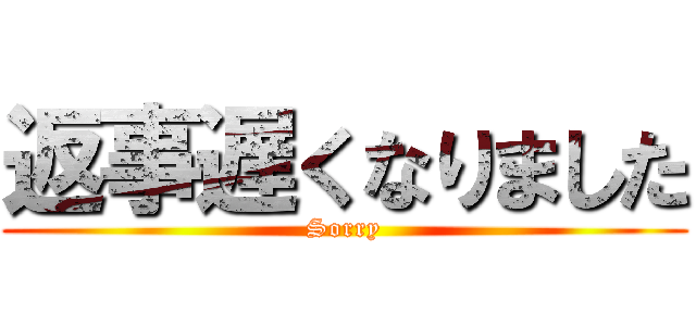 返事遅くなりました (Sorry)