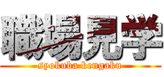 職場見学 (syokuba kengaku)