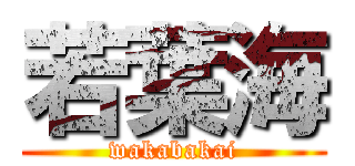 若葉海 (wakabakai)