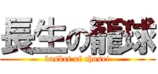 長生の籠球 (basket of chosei)