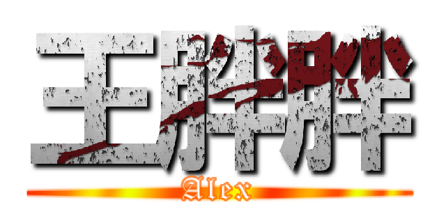 王胖胖 (Alex)