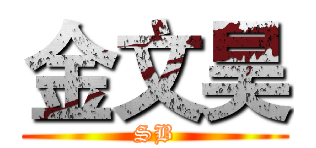 金文昊 (SB)