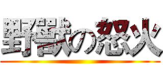 野獸の怒火 ()