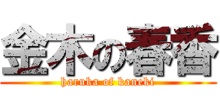 金木の春香 (haruka of kaneki)