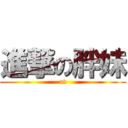 進撃の胖妹 (at)