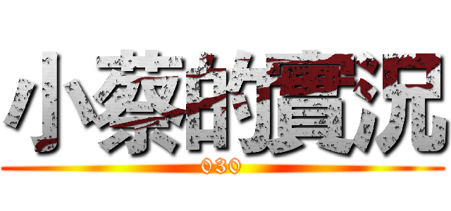 小蔡的實況 (030)