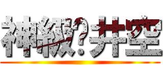 神級篬井空 ()