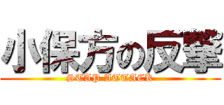 小保方の反撃 (STAP ATTACK)