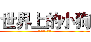 世界上的小狗 (504 24)